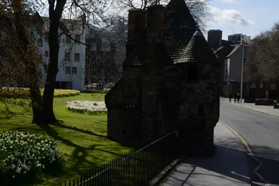 DSC_7339 (Large).JPG